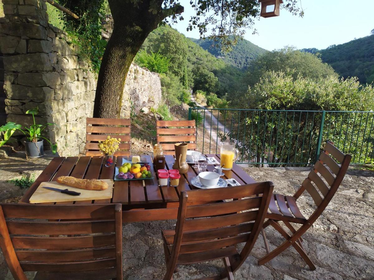 Chambre Cevennes: Piscine, Lamas, Riviere Cros  Eksteriør bilde