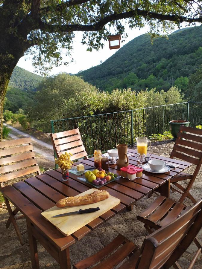 Chambre Cevennes: Piscine, Lamas, Riviere Cros  Eksteriør bilde